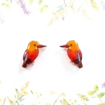 ～小さなピアスシリーズ～アカショウビンのピアス/ノンホールピアス(樹脂イヤリング)