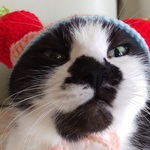 ☆ツインとまとさん☆一点もの！☆リボンとボタンつき☆ネコちゃんのぼうし☆猫ねこ帽子☆トマト☆いちご☆イチゴ☆苺☆野菜と果物シリーズ☆