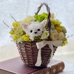 【期間限定送料無料】チワワちゃんの花かご　敬老の日　敬老の日プレゼント　敬老の日ギフト　チワワ　犬