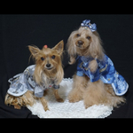 デニム風　袖付きワンピ 犬服  オーダー