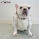 フレンチ袖ブラウス　　サイズオーダー専用