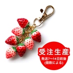 【受注生産】プチ摘みたてたわわいちごキーホルダー🍓(樹脂・赤白ミックス) 《strawberry bag charm》《strawberry key ring》