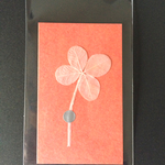 純白の四つ葉のクローバーカード