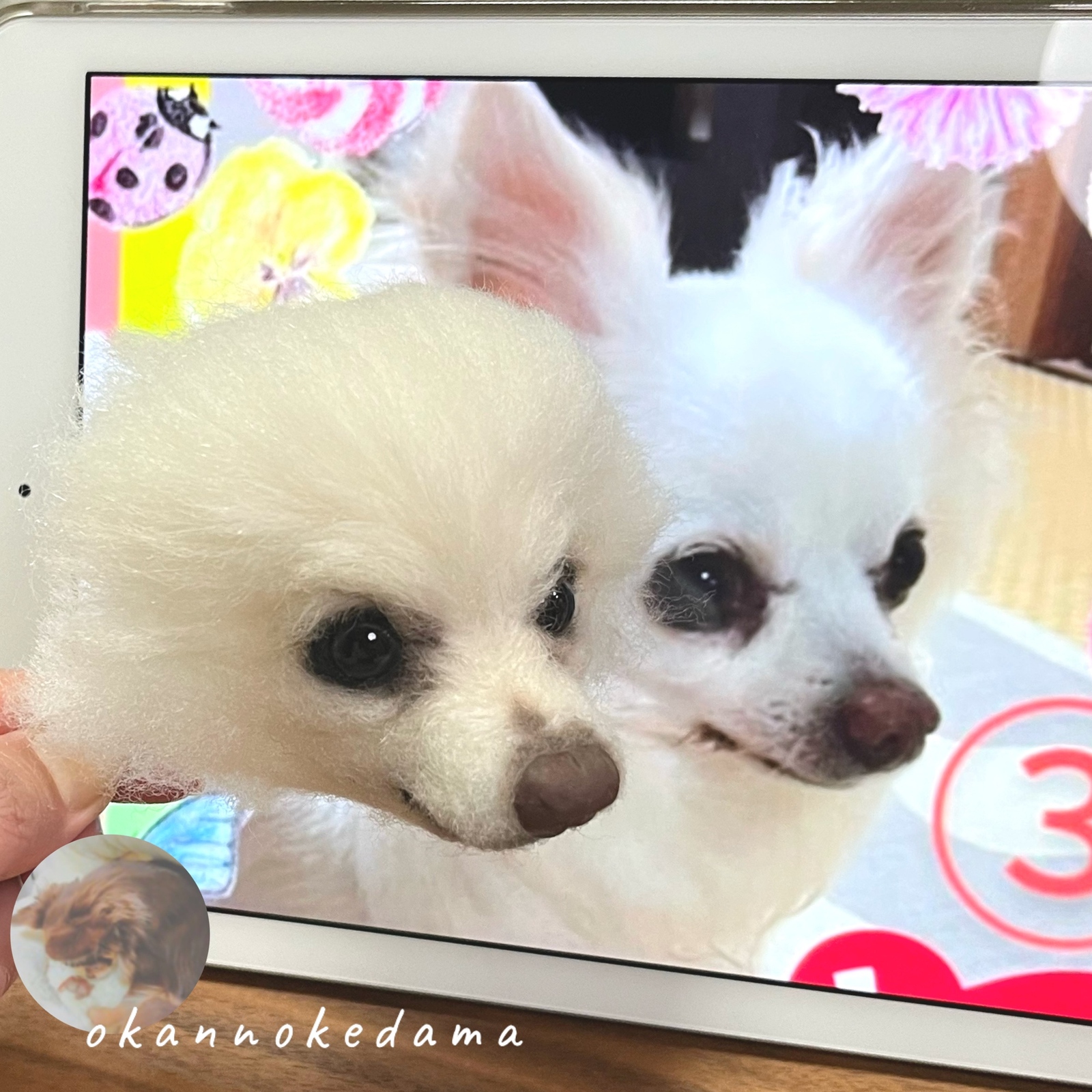 3D犬 チワワ オーダーメイド 羊毛フェルト 犬 - OKAN-0720'S GALLERY