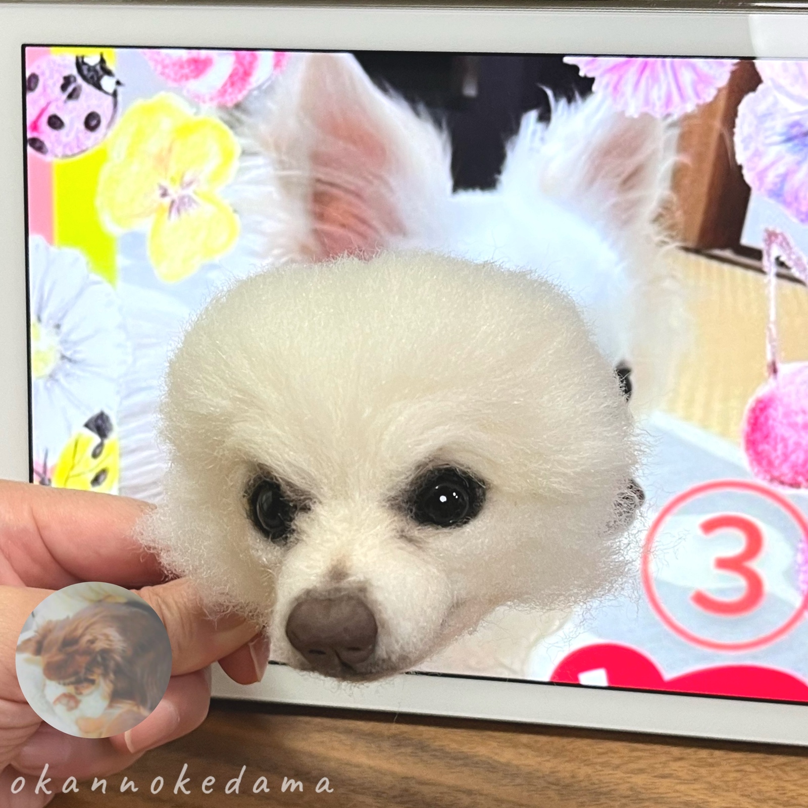 ハンドメイド　オーダー受付ページ　♡ブランコ　チワワ　パネル♡ ハンドメイド オーダー受付ページ ♡Sleepingわんこ パネル♡ - メルカリ