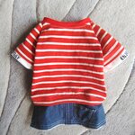 犬服！Msize！ボーダー　デニムスカート
