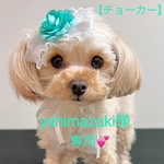 【犬用】お花のリボン　犬リボン　犬チョーカー　犬ヘッドドレス　エメラルドグリーン　犬アクセサリー　3点セット