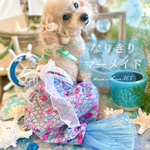 マーメイドドレス ※ドレスのみ【犬、人魚、コスプレ、ハロウィン、コスチューム】小型犬、超小型犬、ハロウィン