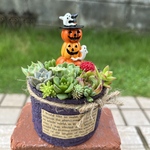 ★送料無料★ ♡そのまま飾れる♡リメ缶♫ハロウィンの多肉植物寄せ植え♡