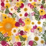 ♡new♡作家様必見♡押し花MIXセット♡押し花セット