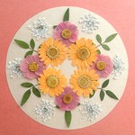 押し花セットS＜組み立てのお花＆ノースポール＆レースフラワー他＞