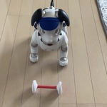 ゴルフウェア(紺色)
