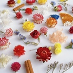 【送料無料】 お花の詰め合わせ　プリザーブドフラワー ドライフラワー　など