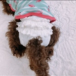 mさま専用 マナーパンツ