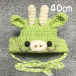 2024辰年🐲辰帽子🐲犬用帽子