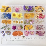 1806 お花のパレット　ドライフラワー詰め合わせ