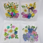 New＊押し花　花材　ミニパック　4セット　8