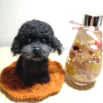 羊毛フェルトブラックトイプードル☆ぬいぐるみ
