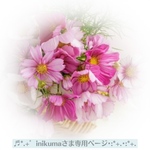 inikumaさま専用ページ