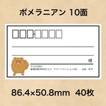 宛名シール ポメラニアン 10面