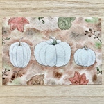 🎃透明水彩画「white pumpkin」北欧イラストポストカード２枚セット 秋 カボチャ 白かぼちゃ　メッセージカード　ハロウィン　ハロウィンカード🎃