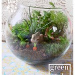 苔テラリウム～子うさぎの隠れ家～