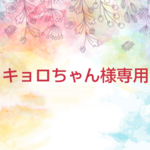 キョロちゃん様専用.*･ﾟキーホルダー