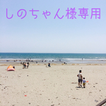 しのちゃん様専用