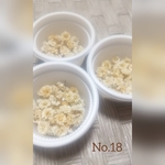 かすみ草 ドライフラワー
