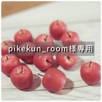 pikekun_room様専用ページ