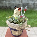 【早割150円OFF】 ★送料無料★♡そのまま飾れる♡リメ鉢♬ハロウィンの多肉植物寄せ植え╰(*´︶`*)╯♡