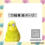 専用ページ