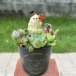 ★送料無料★♡そのまま飾れる♡ブリキ缶♬ハロウィンの多肉植物寄せ植え╰(*´︶`*)╯♡
