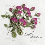 🌸ミニバラlittle woods 35 ＊ 押し花
