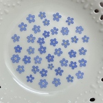 忘れな草(押し花)