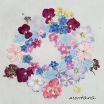 96.押し花アソート〜小花　mix 押し花素材