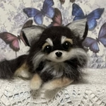 羊毛フェルト　チワワ