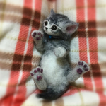 まいごのこねこしゃんNo.3