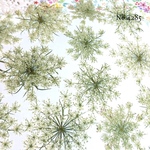 ♡new♡可愛いレースフラワー押し花♡オーダーシリーズ♡