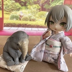 オビツ11 女の子　普段着着物　一部裏付き