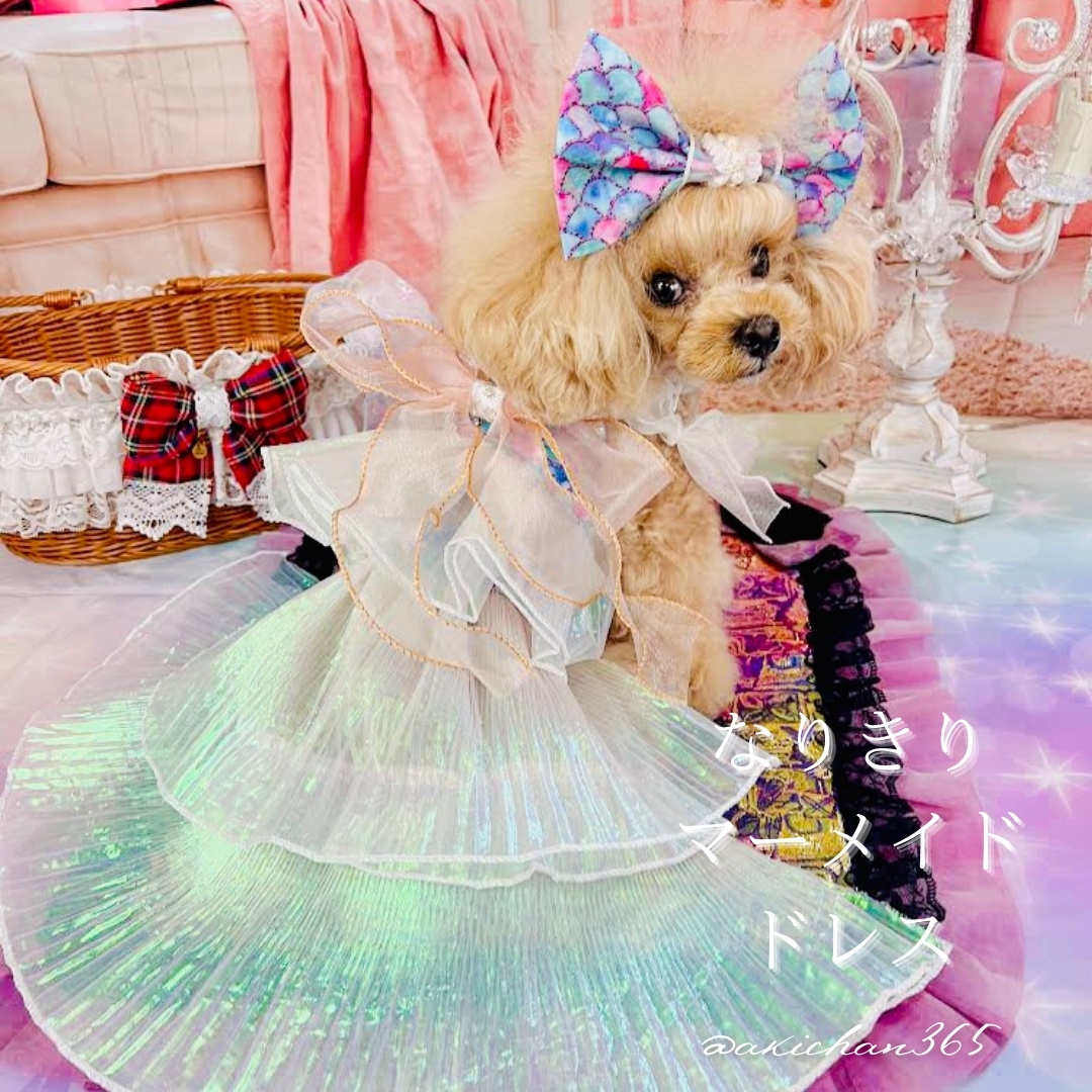なりきりマーメイド（小型犬用）（ヘアリボン×ワンピース×ペチコート