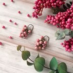 ペッパーベリーのピアス（イヤリング）B
