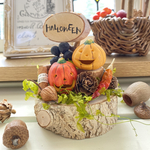 *･゜ﾟpumpkin🎃姉妹のhappy Halloween！*･゜ﾟ･*:.｡..｡.