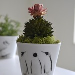 Nature motif cup　plants　（penguin）