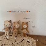 ＊秋のハイキング＊