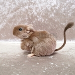 【Aさまご注文品】ぬいデク ☆ デグーのぬいぐるみ