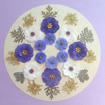 押し花セットV＜組み立てのお花＆レースフラワー＆リーフ＞
