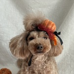 パンプキン 🎃カチューシャ(オレンジ)
