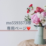 ms5593573様専用ページです🍒☆ °