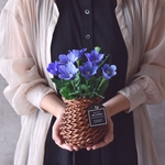 【M様　専用ページ】◆粘土のお花◆　桔梗(キキョウ）・椿・紫陽花
